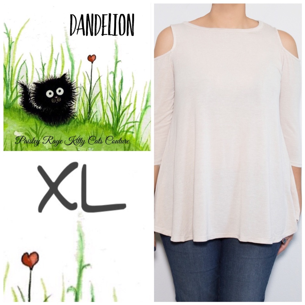 BNWT Cold Shoulder Swing Top with 3/4 sleeves 😍